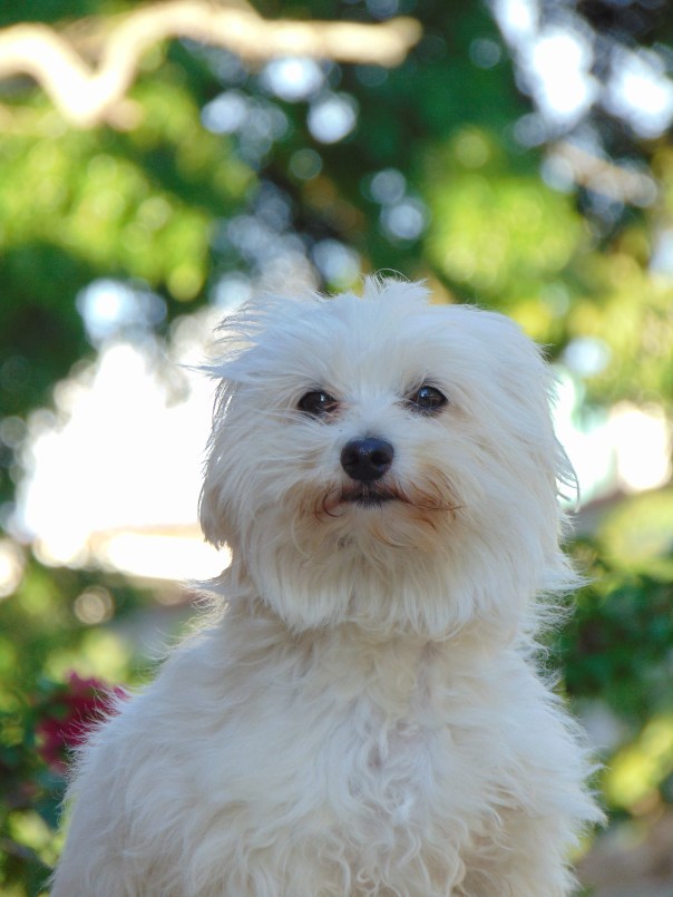 LRM_EXPORT_29414265803796_20191019_121045306